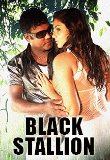 Watch Black Stallion full movie Online - Eros Now